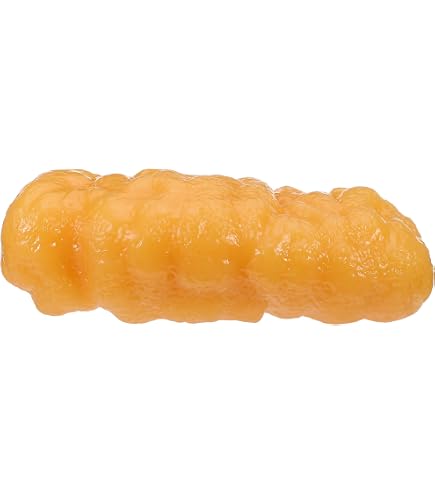 Amazon.co.jp: 【病院食】脂肪模型/筋肉模型対比セット アクリルケース