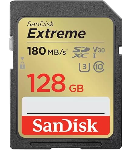 サンディスク エクストリーム プラス SDXC 128GB防振