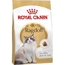 Amazon | ロイヤルカナン アロマ エクシジェント 猫用 400g 1個 香りに