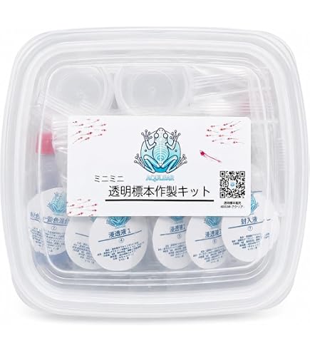 Amazon.co.jp: ブルーモルフォ フェイク蝶標本 アンティーク風 : おもちゃ