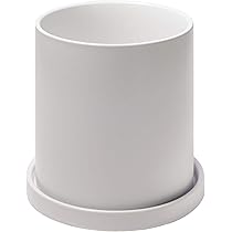 Amazon | Ekirlin 植木鉢 陶器鉢 白 大型 おしゃれ 18.6cm 8号