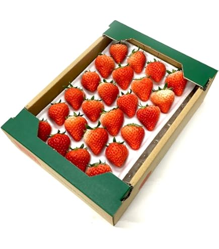 Amazon.co.jp: 【☆加工用 夏秋いちご】常識を超えた甘さ「夏いちご