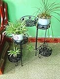 CHAOXIANG フラワーシェルフアイロンフロアタイプ5層植木鉢ヨーロッパヨーロッパのシンプルな屋内と屋外の植物盆栽棚 (色 : ブラック, サイズ さいず : 90cm*34cm*71cm)