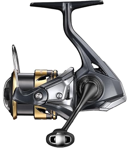 Amazon | ダイワ(DAIWA) ムーリネット フエゴ 20 LT 3000 C XH