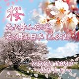 桜 ～花の舞ふ日本(ふるさと)～