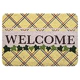 Paseo コイヤーマット CM-303F