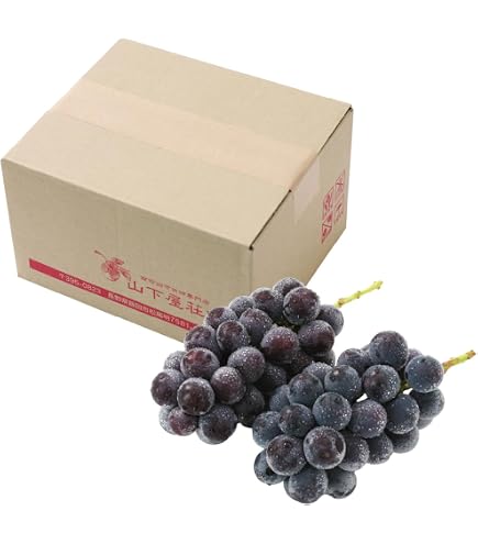 Amazon.co.jp: 種無し巨峰 箱込1キロ前後 2～3房入り ぶどう 葡萄