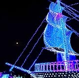 HMT 【エイチエムティー】 2017新発売3M x 2M 204球防水LEDネットメッシュフェアリーストリングライト LED イルミネーション 屋内外装飾用イルミネーションライト防雨 ８種類点滅パタ