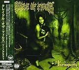 �\�[�m�O���t�B