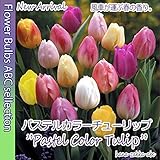 パステルカラーチューリップ球根 各色混合100球セット