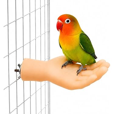 Amazon.co.jp 最新リリース: 鳥用止まり木 の新着ランキングです。