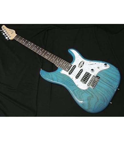 Amazon | SCHECTER OL-ST-22 DBL R シェクター ストラトキャスター