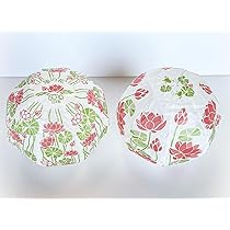 Amazon | 紙風船 蓮 2種入 日本製 装飾 お花 懐かしい | 風船