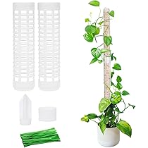 61iqC3tMMLL._AC_UL210_SR210,