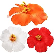 おぎママハイビスカス3種セット おぎママ様専用ハイビスカス3種セット