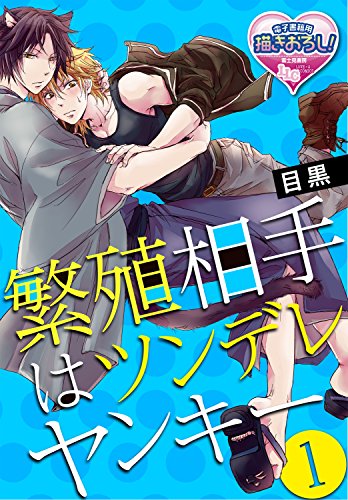 『繁殖相手はツンデレヤンキー』