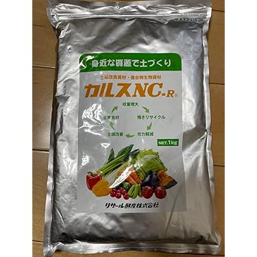 【安心・国内生産❤️】免疫力UP＆美容効果に抜群の生酵素❤️3年発酵 Amazon.co.jp 最新リリース: 酵素サプリメント の新着ランキング