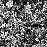 �O���r���O�E�A�E�N���R�_�C��