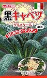 【種子】黒キャベツ グルメケール トーホクのタネ