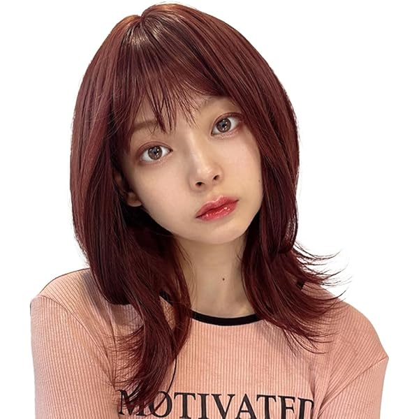 ヘアーウィッグ ブレイズウィッグ・特殊ヘアー|ポニーテールウィッグ通販店なら