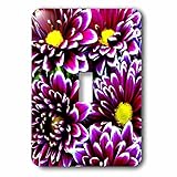 costasonlineshop Photographyフラワー – パープルDahlias – 照明スイッチカバー – シングルトグルスイッチ( LSP _ 236394 _ 1 )