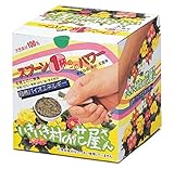 いきいき村の花屋さん (10個)