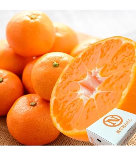 Amazon.co.jp: 愛媛産 味ピカ 小太郎みかん 2kg 30個〜50個 化粧箱入