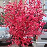 10 PCS Red Japanese cherry blossoms Seeds Courtyard Garden Bonsai Tree Seeds Small Sakura Tree Seeds