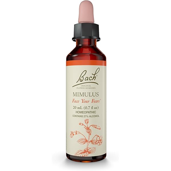 Amazon | 海外直送品Flower Essence Rock Rose, 20 ML by Bach