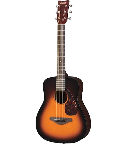 Amazon.co.jp: YAMAHA F-310P TBS 小物セット付き アコースティック