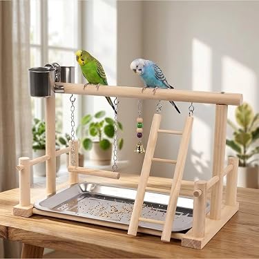 Amazon.co.jp 売れ筋ランキング: 鳥用止まり木 の中で最も人気のある