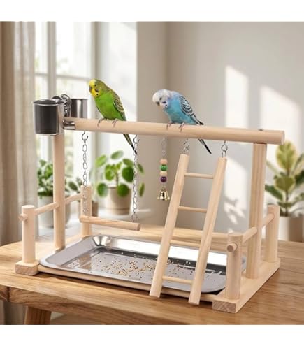 Amazon | バードアスレチック 鳥アスレチック 止まり木 パーチ 天然木