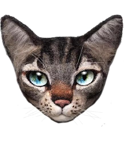 Amazon.co.jp: AZ-FRONT 羊毛フェルト DIY キット 手作り猫顔デザイン