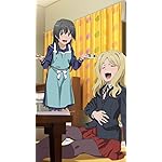 とある魔術の禁書目録 XFVGA(480×854)壁紙 佐天涙子,フレンダ とある魔術の禁書目録 XFVGA(480×854)壁紙 佐天涙子,フレンダ