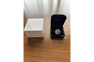 明治大学 卒業記念品 終身会員証 ピンバッジ 明治大学校友会