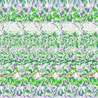 Amazon.co.jp: 【Amazon.co.jp限定】((ika)) - Tempalay [初回