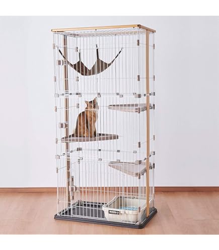 Amazon | ボンビアルコン (Bonbi) ウッドワンサークルキャット