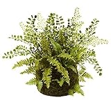 Nearly Natural 4846 Mixed Fern with Twig and Moss Basket [並行輸入品]