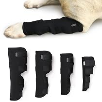 Amazon | 犬 脚 ブレース 犬用サポーター 前足 後ろ足 犬の足