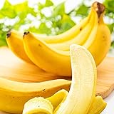 有機 無農薬 安全オーガニック バナナ 約2kg ※野菜ソムリエ監修