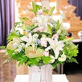 供花　ﾒﾓﾘｱﾙｱﾚﾝｼﾞﾒﾝﾄ　Lサイズ　＜　お供え用に　仏壇のお花に　お供え花　お悔やみ花　＞　【お届け日指定ＯＫ　全国送料無料】