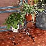 フラワースタンドヨーロッパ鍛鉄フラワーシェルフダブルフロア鉢植えプランター屋内リビングルームバルコニープラントディスプレイスタンド (色 : B)