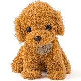 Heart Angel ぬいぐるみ 犬 トイプードル 動物 いぬ 子供 キッズ こども 女の子 誕生日 ギフト（ぬいぐるみ トイプードル ベージュ）