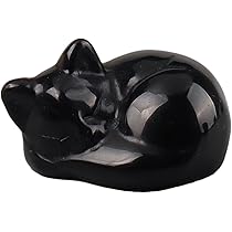 61jJeuELtZL._AC_UL210_SR210,