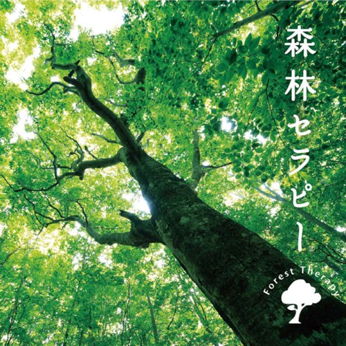 森林セラピー 森林セラピー