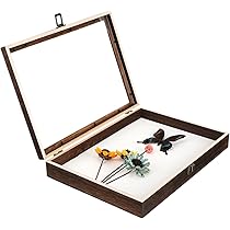 Amazon.co.jp: Lurrose 標本ケース 標本箱 木製 ディスプレイボックス