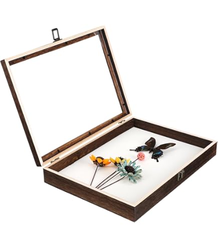 Amazon.co.jp: 昆虫 標本ケース 大型サイズ（45×32×6cm）標本収納
