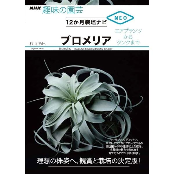 ビカクシダ (NHK趣味の園芸 12か月栽培ナビNEO 観葉植物) | 杉山 拓巳
