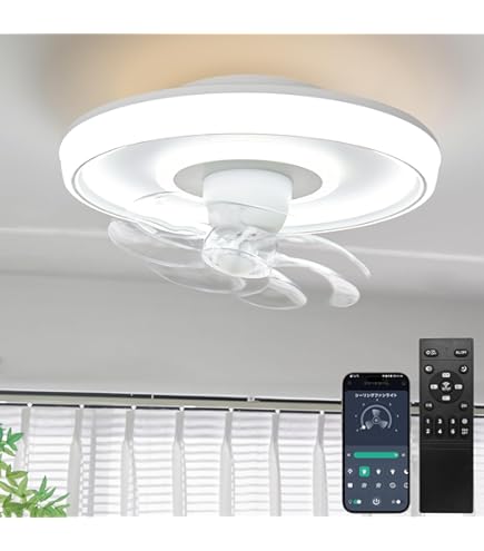 Amazon.co.jp : ONRIU シーリングファンライト led 導光板 ファン付き