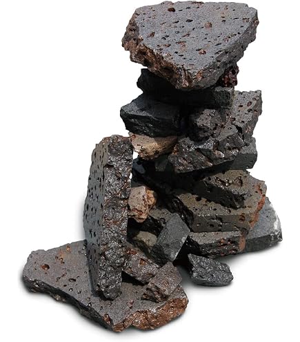 Amazon.co.jp: 富士溶岩石34.2キロ 庭石鑑賞石石盆石水石灯籠庭坪庭